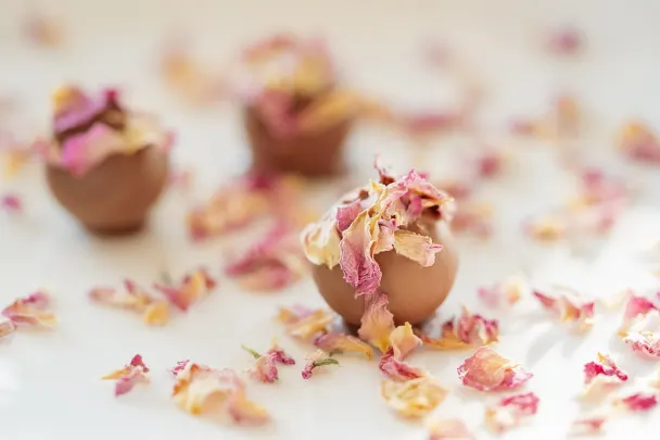 Kasino Generation VIP Android/iOS Aplikácia